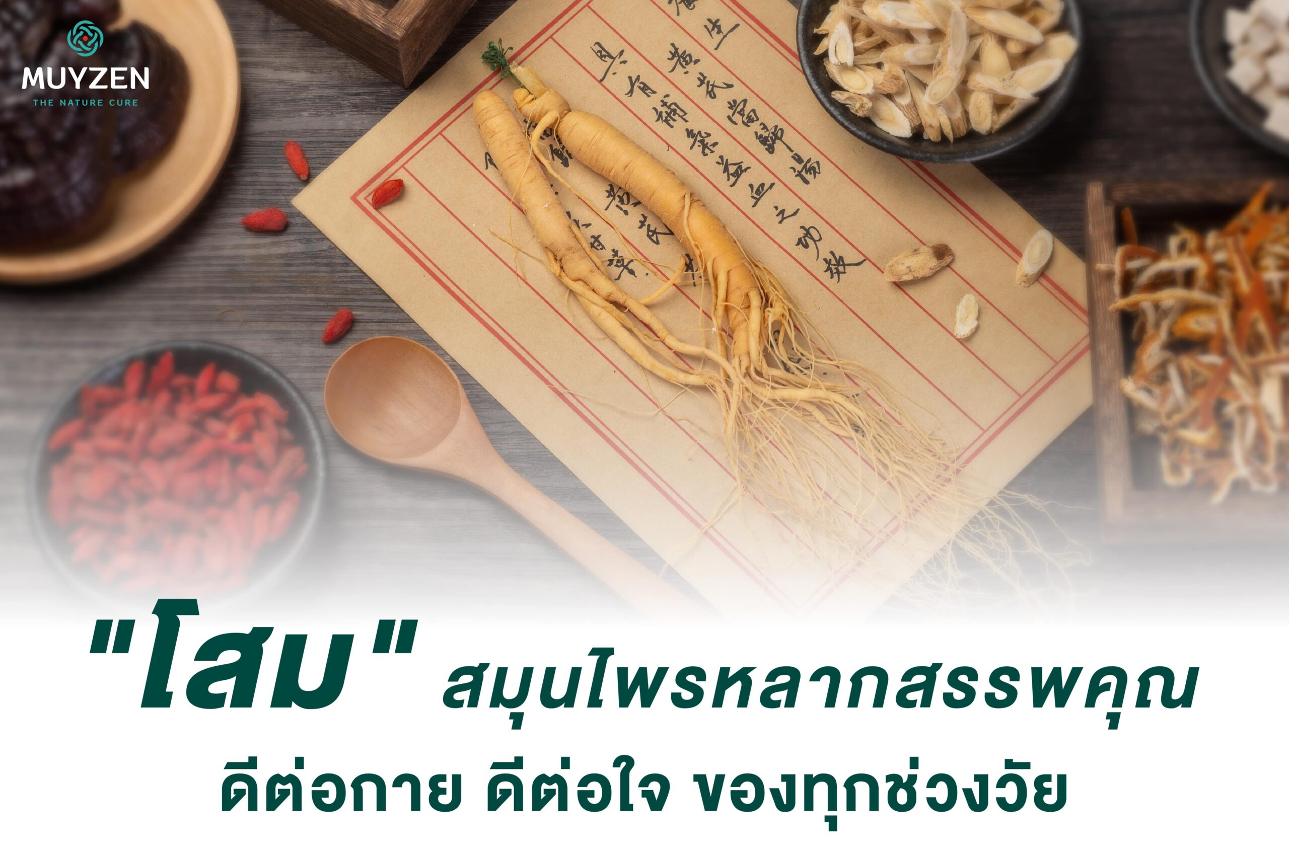 “Ginseng”, a kind of herb with many properties, good for the body and the mind of all ages